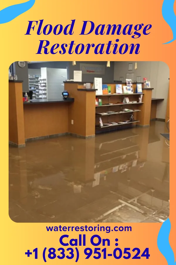 Flood Damage Restoration in Winthrop, IA