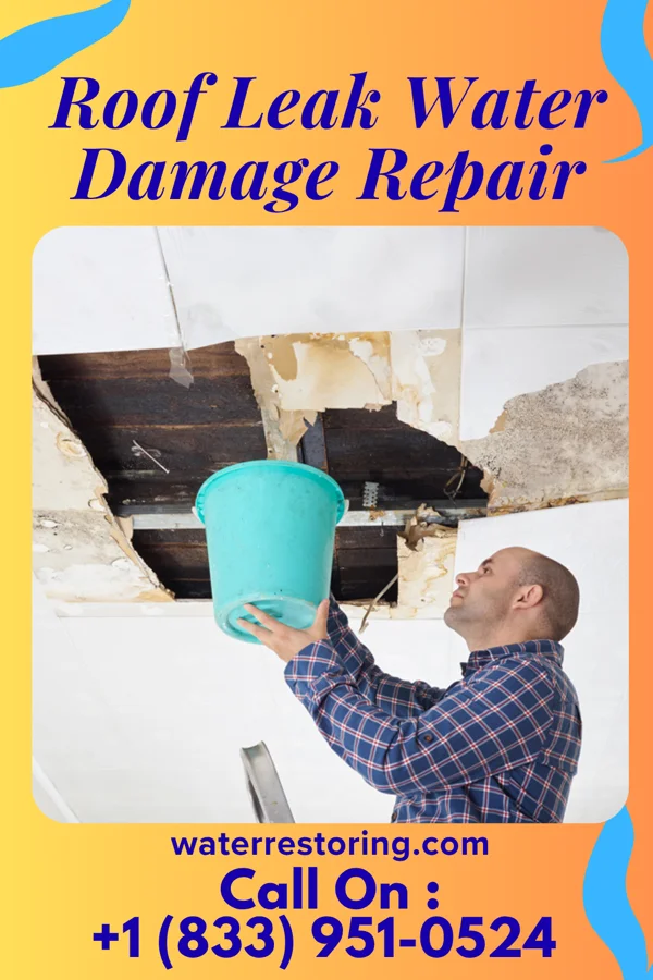 Roof Leak Water Damage Repair in Winthrop, IA
