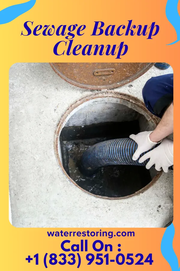 Sewage Backup Cleanup in Winthrop, IA